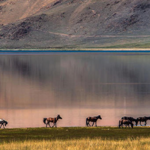 Beauty of Mongolia Tour